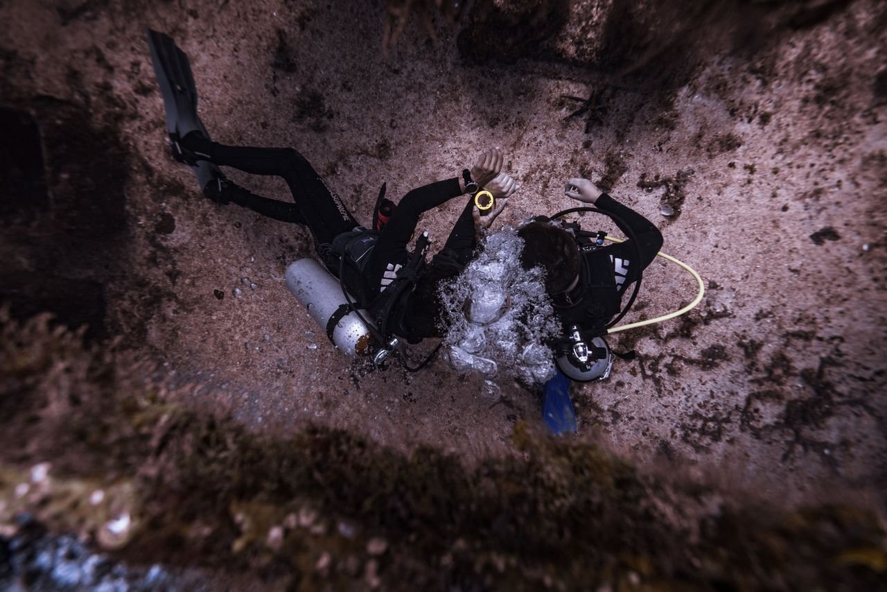Divers in Isla Mujeres, Mexico, exploring seabeds underwater with scuba gear.