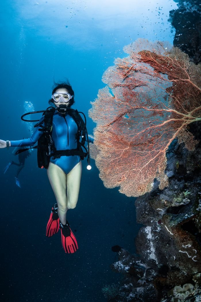 Woman scuba diving near a coral reef in South Sulawesi, Indonesia.